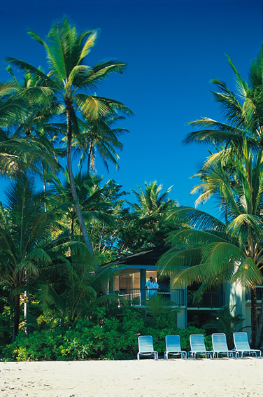 ����� Dunk Island, ����