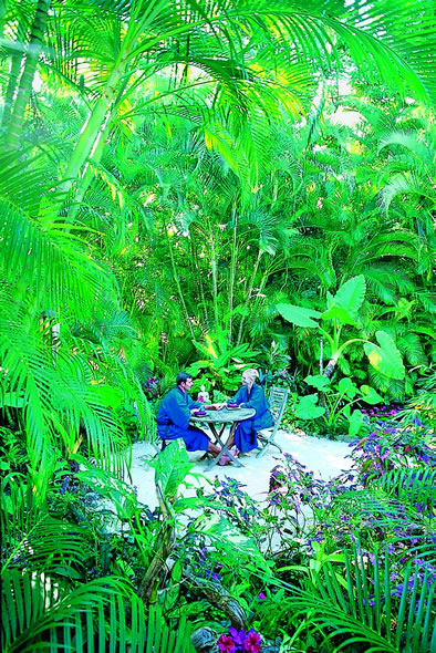 ����� Dunk Island, ����