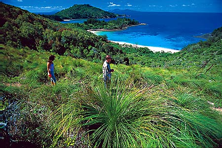 ����� Brampton Island, ����