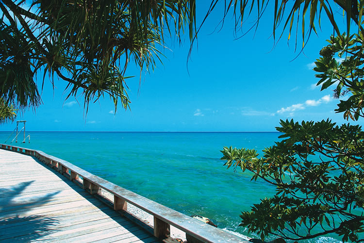 ����� Heron Island, ����