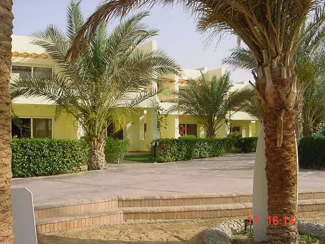 ����� Palm Beach Eurotel, ����