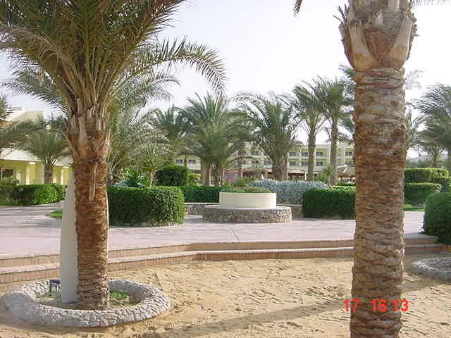 ����� Palm Beach Eurotel, ����