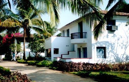 ����� Dona Sylvia, ����