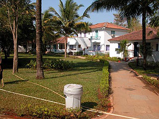 ����� Dona Sylvia, ����