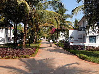 ����� Dona Sylvia, ����