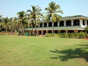 ����� Taj Exotica, ����