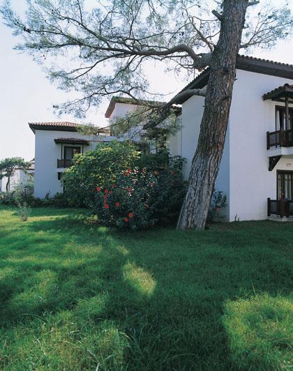 ����� Turtle's Marco Polo Club, ����