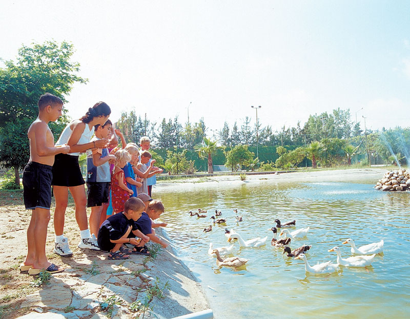 ����� Club Sidelya Holiday Village, ����
