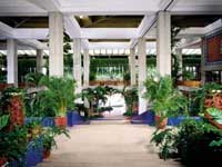 ����� Melia Puerto Vallarta, ����