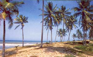 ����� SuperClubs Breezes Costa do Sauipe, ����