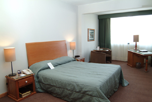 ����� Double Tree El Pardo, ����