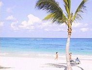 ����� Amhsa Marina Grand Paradise Bavaro, ����