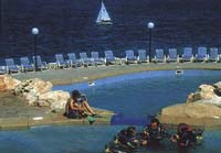 ����� Radisson Sas Bay Point Resort, ����