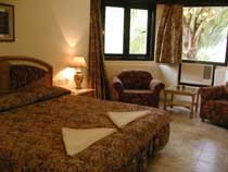 ����� Whispering Palms, ����