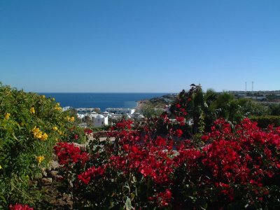 ����� Domina Coral Bay Oasis, ����