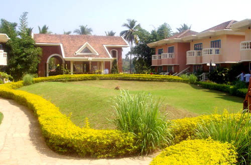 ����� Coconut Grove, ����