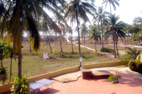 ����� Coconut Grove, ����