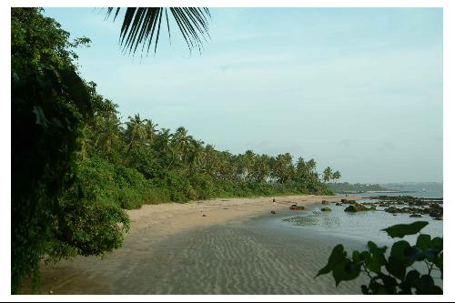 ����� Bambolim Beach Resort, ����