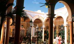����� Riu Tequila, ����