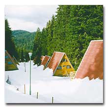 ����� Malina Villas, ����