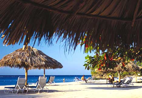 ����� Jamaika Inn, ����