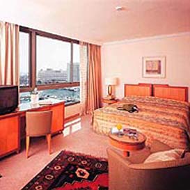 ����� Magic Palace, ����