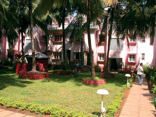 ����� Dona Terezinha, ����