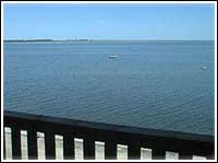 ����� Promenaadi, ����